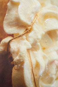 Collab with Stefania Zanetti